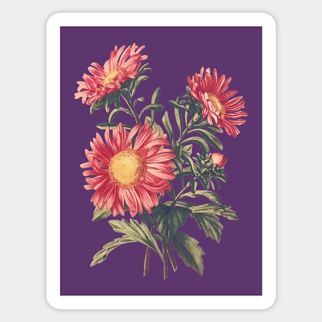 Flowers for Mothers Day Sticker by PallKris